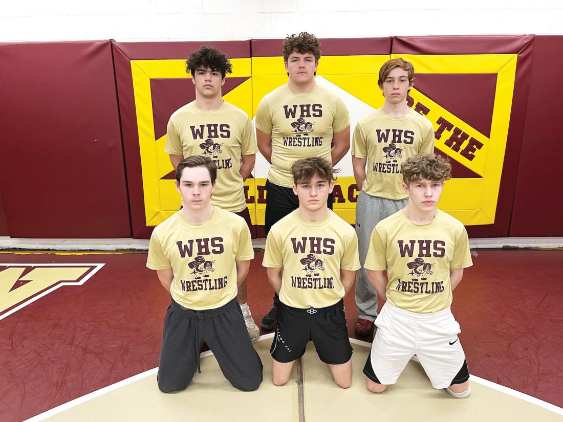 Area Class AA/A wrestlers seek podium finish News, Sports, Jobs